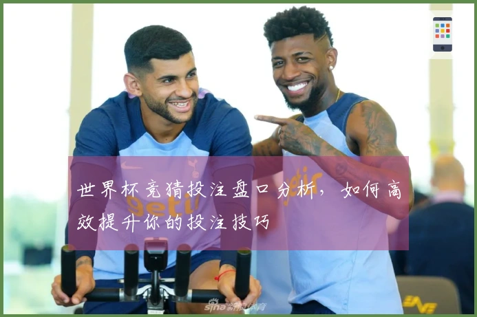 世界杯竞猜投注盘口分析，如何高效提升你的投注技巧