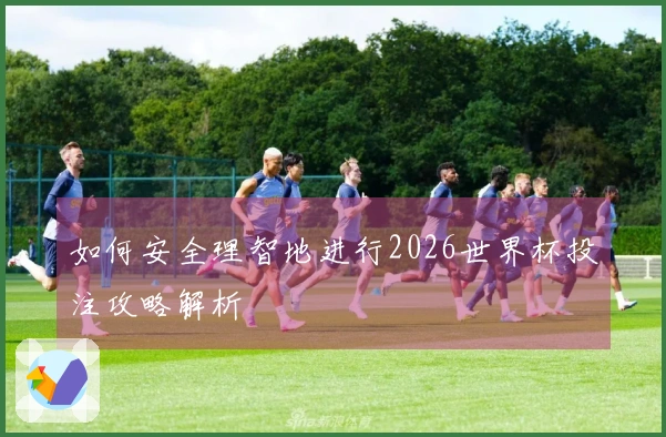 如何安全理智地进行2026世界杯投注攻略解析