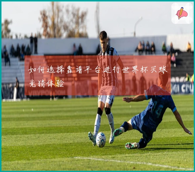 如何选择靠谱平台进行世界杯买球竞猜体验