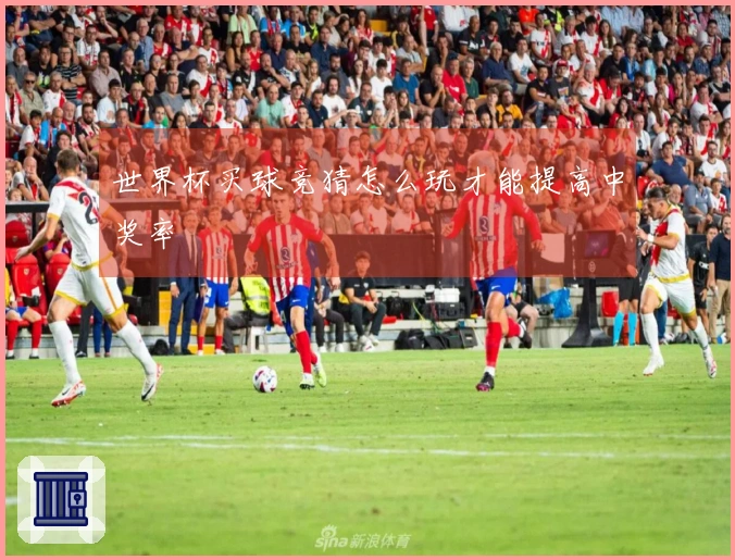 世界杯买球竞猜怎么玩才能提高中奖率