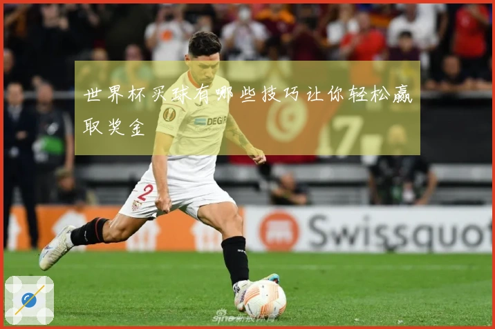世界杯买球有哪些技巧让你轻松赢取奖金