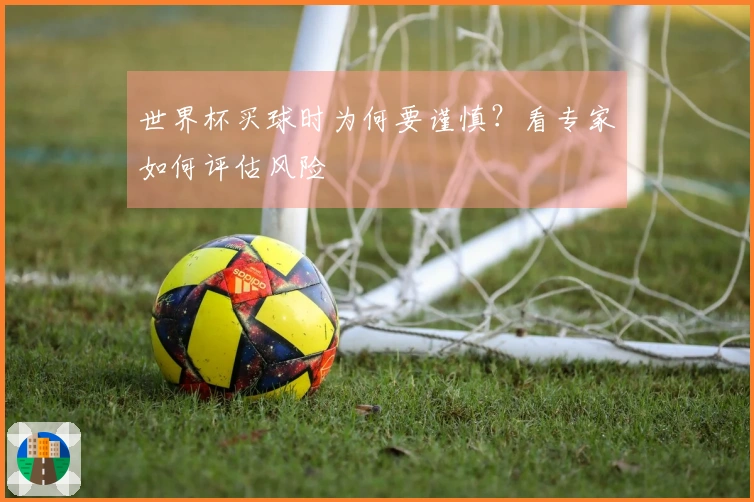 世界杯买球时为何要谨慎？看专家如何评估风险