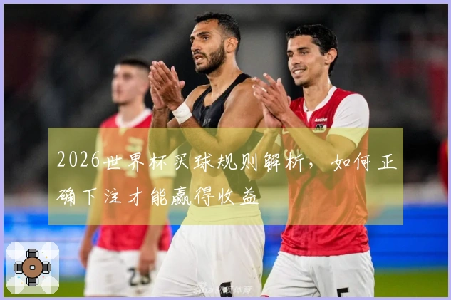 2026世界杯买球规则解析，如何正确下注才能赢得收益