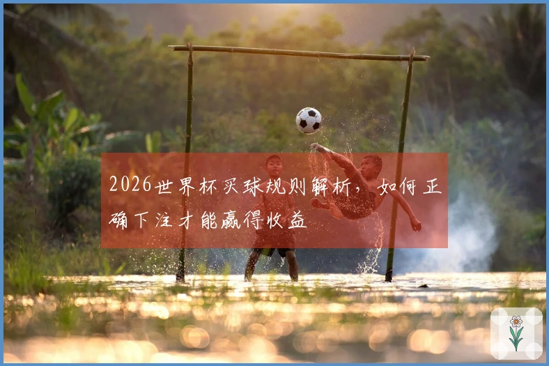 2026世界杯买球规则解析，如何正确下注才能赢得收益