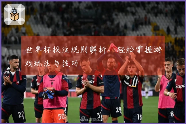 世界杯投注规则解析，轻松掌握游戏玩法与技巧