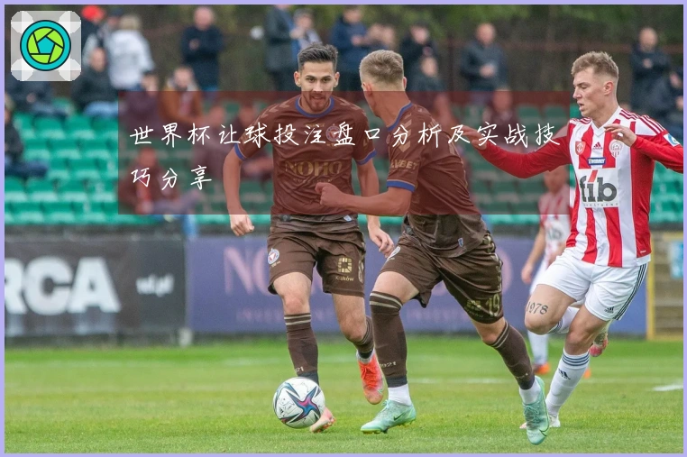 世界杯让球投注盘口分析及实战技巧分享