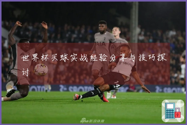 世界杯买球实战经验分享与技巧探讨