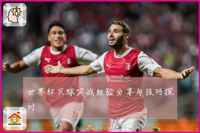 世界杯买球实战经验分享与技巧探讨