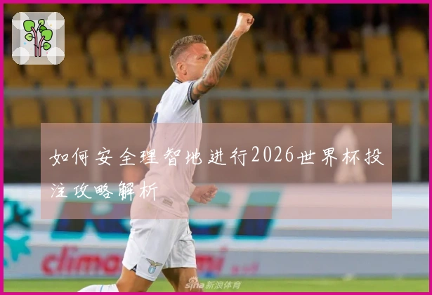 如何安全理智地进行2026世界杯投注攻略解析