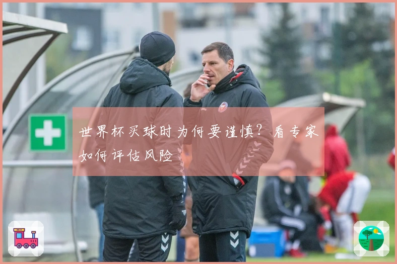 世界杯买球时为何要谨慎？看专家如何评估风险