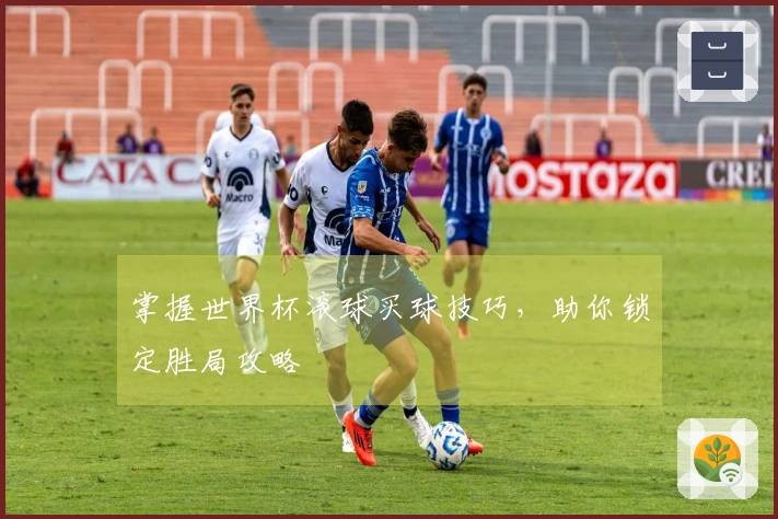 掌握世界杯滚球买球技巧，助你锁定胜局攻略
