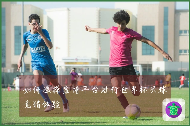 如何选择靠谱平台进行世界杯买球竞猜体验