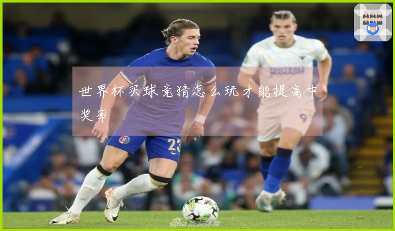 世界杯买球竞猜怎么玩才能提高中奖率