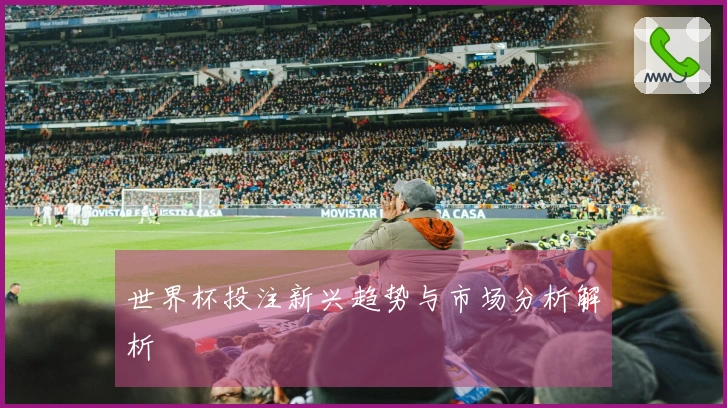 世界杯投注新兴趋势与市场分析解析